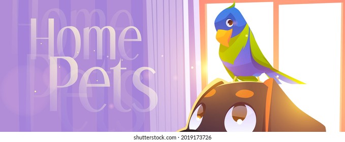 Home pets cartoon banner parrot sit on dog head