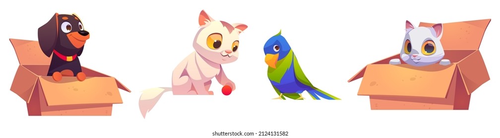 Home pets, cute dog, parrot and cat characters. Vector cartoon set of funny domestic animals and bird. Puppy rottweiler and white kitten in cardboard boxes isolated on background