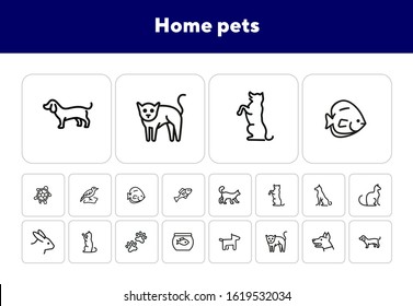 Home pets line icon set. Cat, dog, rabbit. Animals concept. Can be used for topics like veterinary office, clinic, pet shop