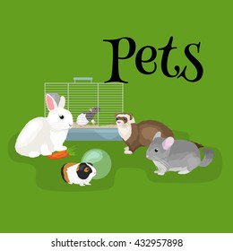 Home pets set, cat dog parrot goldfish hamster, domesticated animals