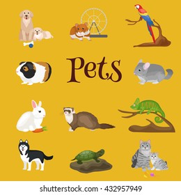 Home pets set, cat dog parrot goldfish hamster, domesticated animals