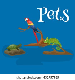Home pets set, cat dog parrot goldfish hamster, domesticated animals