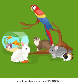 Home pets set, cat dog parrot goldfish hamster, domesticated animals
