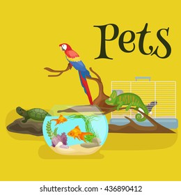 Home pets set, cat dog parrot goldfish hamster, domesticated animals