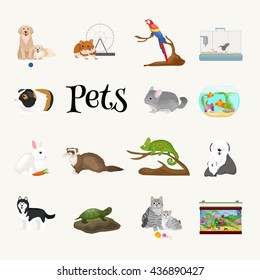 Home pets set, cat dog parrot goldfish hamster, domesticated animals