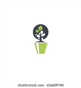 Home plant