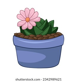 Home plant ariocarpus in pot on a white background vector illustration.