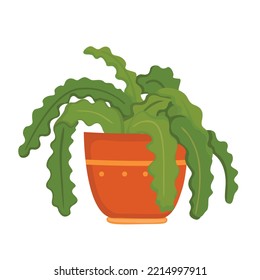 Home Plant Asplenium Illustration Vector Clipart