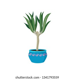 Home plant in blue pot. Vector illustration.