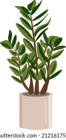 home plant in a brown pot