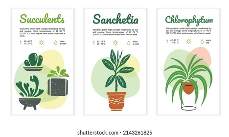 Conjunto de plantillas de instrucciones para el cuidado de las plantas domésticas. Etiqueta, tarjeta, recordatorio para los amantes de las flores y para la florería. Ilustración vectorial sobre fondo blanco.