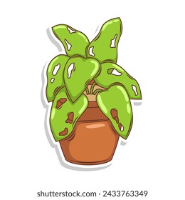 Home plant cartoon style. potted plant isolated on white