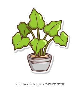 Home plant cartoon style. potted plant isolated on white
