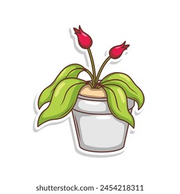 Home plant cartoon style. potted plant isolated on white