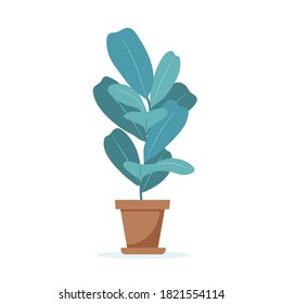 Home plant cute vector illustration in flat style