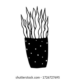 Home plant doodle element. Doodle vector illustration potted plants for wedding design, logo and greeting card. Isolated on white background.