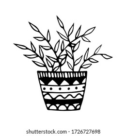 Doodle-Element der heimischen Pflanze. Doodle Vektor Illustration Topfpflanzen für Hochzeitsdesign, Logo und Grußkarte. Auf weißem Hintergrund isoliert.