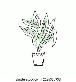 Home plant in doodle style. Flower in a pot. Vector illustration with isolated background.