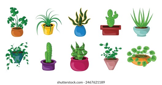 Illustrationssatz für Heimpflanzenelemente