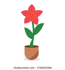 Home plant in flower on brown pot.Spring colorful flowers in pots. A creative vector illustration with white background