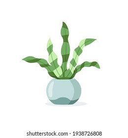 Home plant in flower pot isolated on white background in flat style. Vector illustration