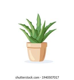 Home plant in flower pot isolated on white background in flat style. Vector illustration