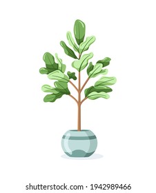 Home plant in flower pot isolated on white background in flat style. Vector illustration