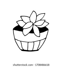 Home plant, flower in a pot. Simple outline drawing by hand, doodles. Vector illustration in black and white.