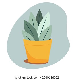 Planta de viviendas en maceta de flores. Ilustración vectorial plana de color