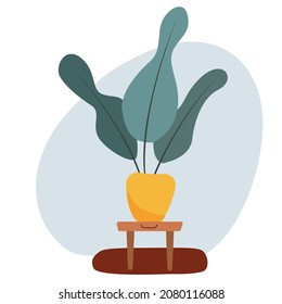 Home plant in flowerpot. Colored flat vector illustration