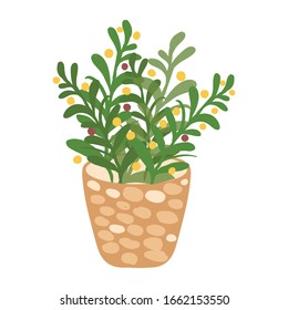 Home plant in flowerpot. Interior element. Vector illustration isolated on white background.