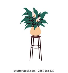 Home plant with green leaf and flowers blossoms. Potted calla lily on stool. Houseplant, floral room deco, office decoration in flowerpot. Flat vector illustration isolated on white background