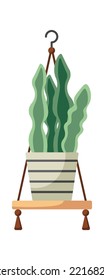 Home Plant in a hanging shelf