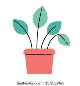 Home plant isolated on white background icon concept graphic design element flat