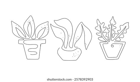 Home plant line art,  drawn . Potted plant room, flower, leaves. Colored spot green. Vector graphics isolated background.	
