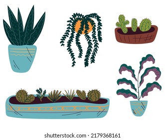 Home plant line art hand drawn isolated set concept. Vector flat graphic design illustration