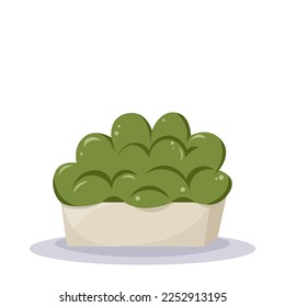 Home plant in the minimalistic pot. Home decor and gardening concept. Cute isolated vector illustration for product design and decoration