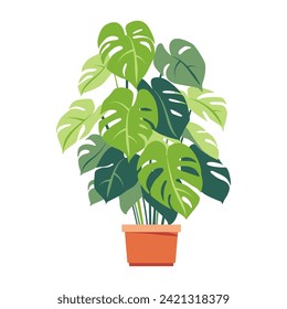 Home plant. Monstera Plant. Potted plant isolated on white. Flat. Vector illustration.