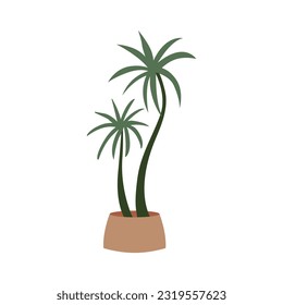 Home plant palm tree in a pot. Vector flat illustration on isolated background. 