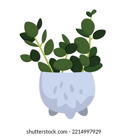Home Plant Peperomia Illustration Vector Clipart