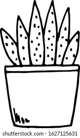 Home plant in a pot.  Black outline, vector image. Children's coloring book.