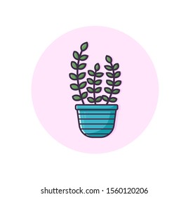 Home plant in a pot of blue on a pink background. Vector flat cartoon illustration for web sites, banners