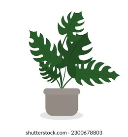 Home plant in pot, cute flat cartoon illustration.