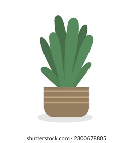Home plant in pot, cute flat cartoon illustration.