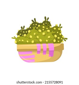 Home plant in pot. Home decor element.