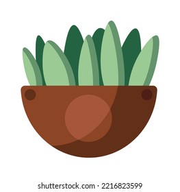 Home plant in a pot flat illustration