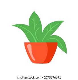 Home plant in pot. Green flower in red flowerpot for indoor bookshelves, flat icon vector illustration isolated on white background