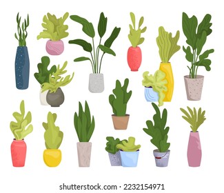 Home plant in pot, green nature for house set, vector illustration. Indoor flower decoration collection, houseplant with cartoon leaf in flowerpot.