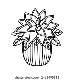 Home plant in a pot. Icon. Doodle style. Interior plant. Flower