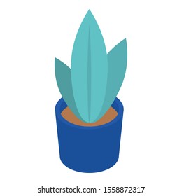 Home plant pot icon. Isometric of home plant pot vector icon for web design isolated on white background